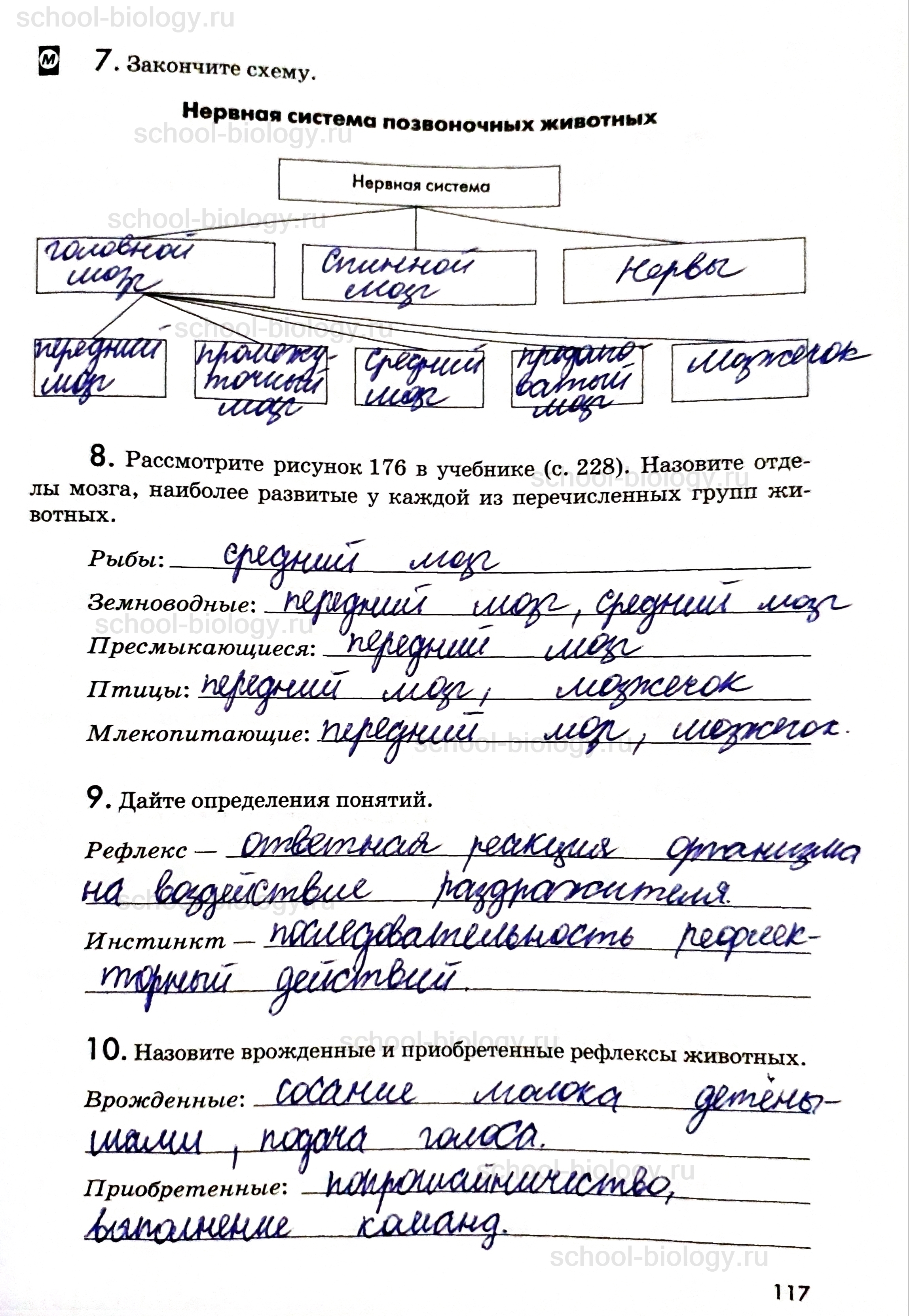 Биология 8 класс латюшин. Гдз по биологии 8 класс латюшин. Гдз в рабочей тетради по биологии 6 класс латюшин Ламехова. Гдз биология 8 класс латюшин. Биология 8 класс учебник латюшин гдз.